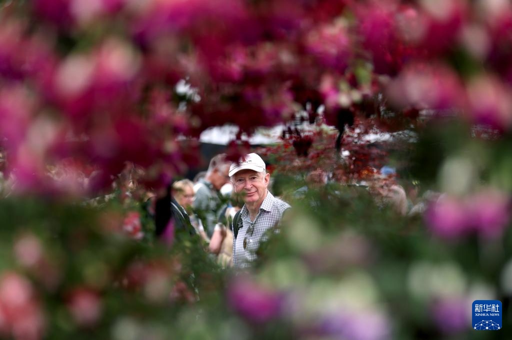 伦敦：切尔西花展正式对公众开放