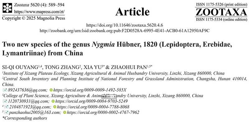 西藏发现毒蛾亚科2种新物种 西藏发现毒蛾亚科2种新物种