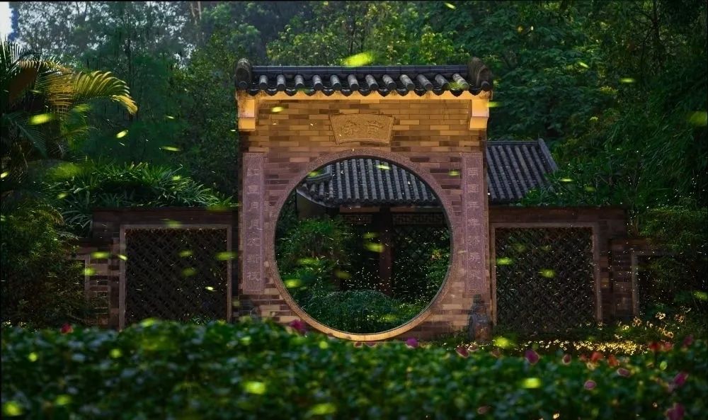 进入活跃期!广州“浪漫萤光秀”上线 进入活跃期!广州“浪漫萤光秀”上线