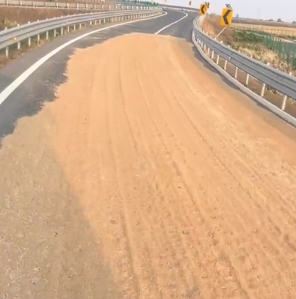 河南驻马店一高速路匝道成晒谷场？当地政府回应
