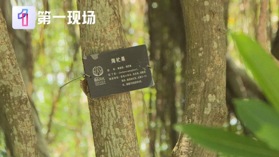 剧毒！别碰！别摘！别吃！