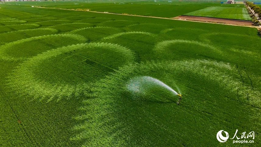 今日，小得盈满，爱逢其时