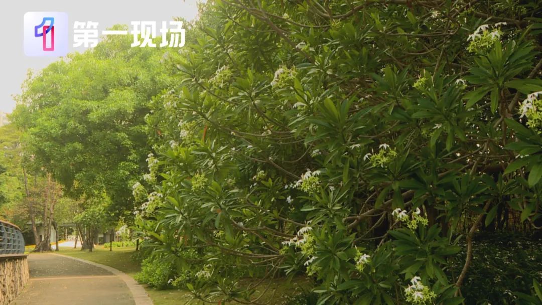 剧毒！别碰！别摘！别吃！