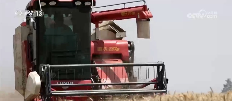 冬小麦从南到北陆续进入收获期 良种配良法绘就田野好“丰”景