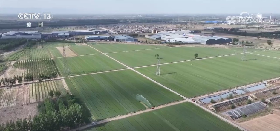 “靠天吃饭”到“知天而作” 气象科技助力夏收夏种全面启动