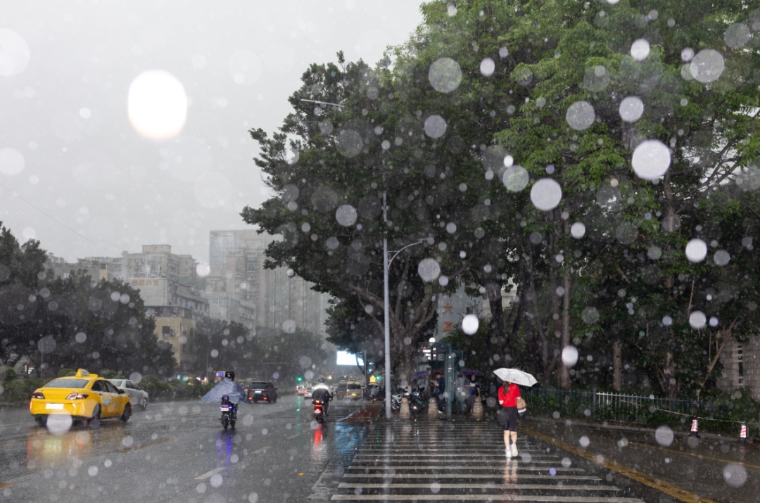 今天起，进入“龙舟水”时期！广东降雨情况预测→