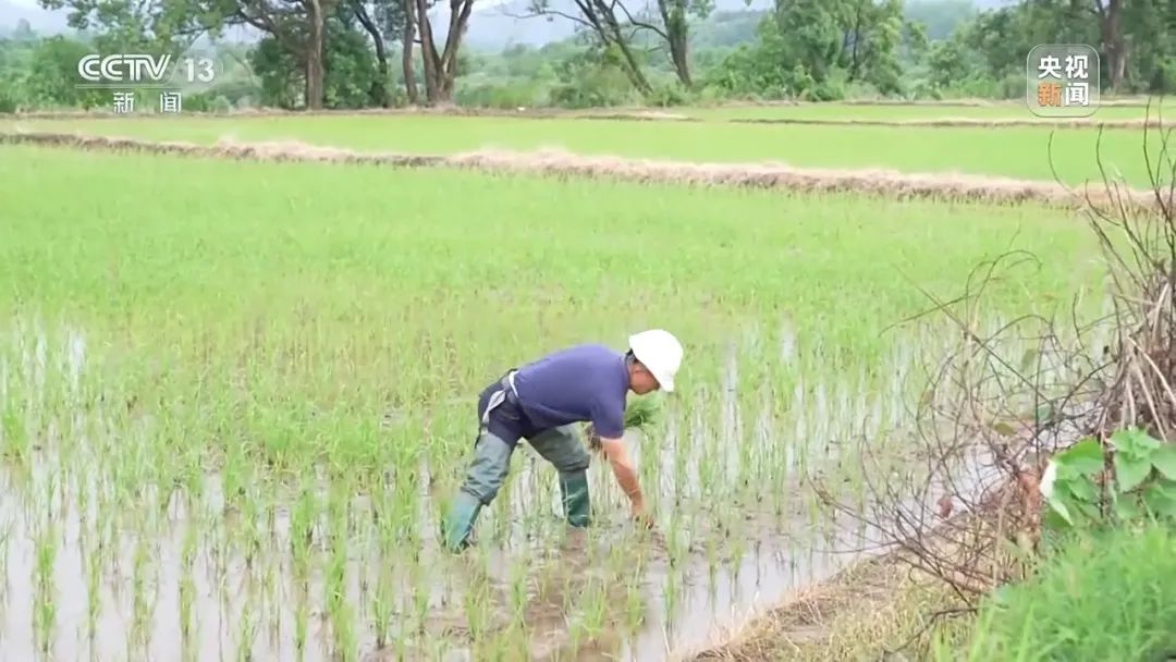 售假手段又翻新 警惕化肥“忽悠团”的坑农套路 售假手段又翻新 警惕化肥“忽悠团”的坑农套路