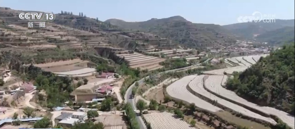 “科学防控+精准服务”各地积极应对旱情 保障高温天气农业生产 “科学防控+精准服务”各地积极应对旱情 保障高温天气农业生产