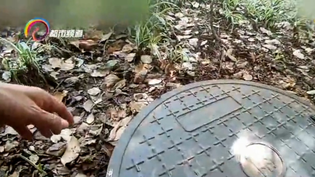 女子人行道上遛着狗,突然消失? 女子人行道上遛着狗,突然消失?