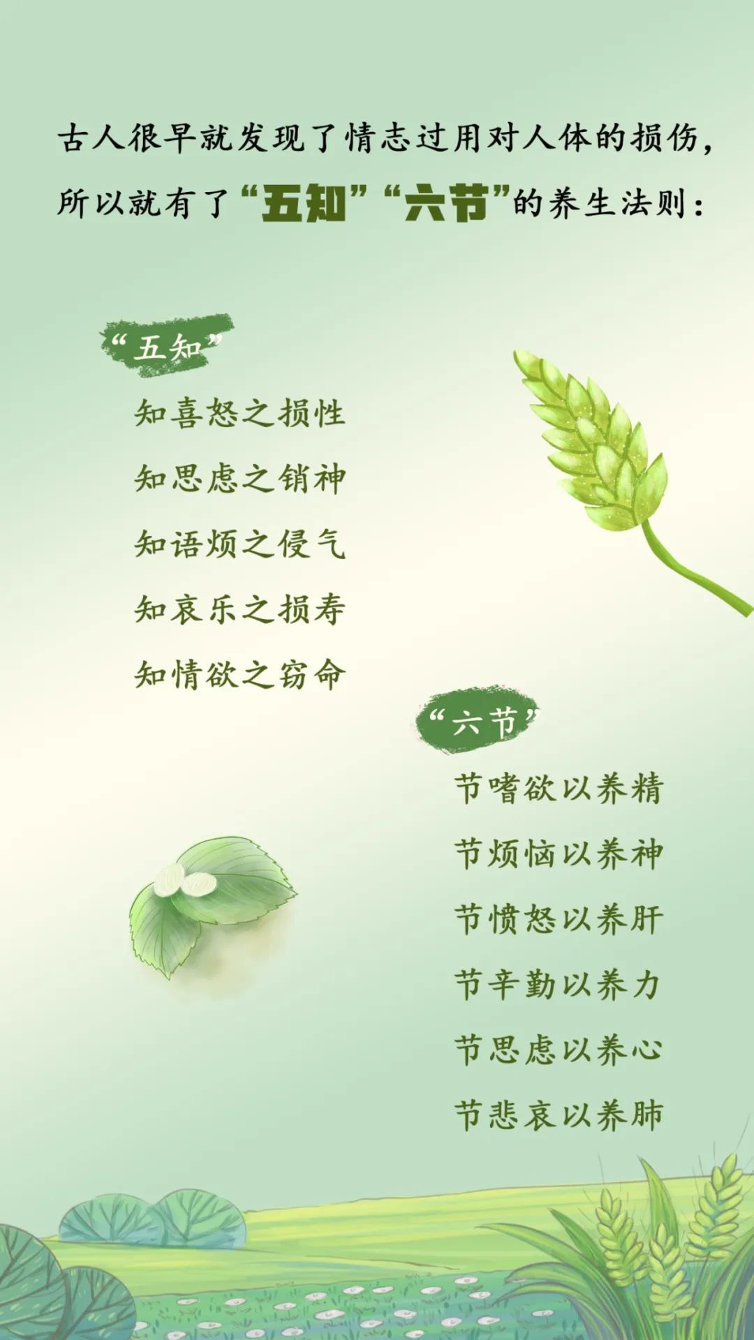 小满|二十四节气习俗趣事与养生 小满|二十四节气习俗趣事与养生