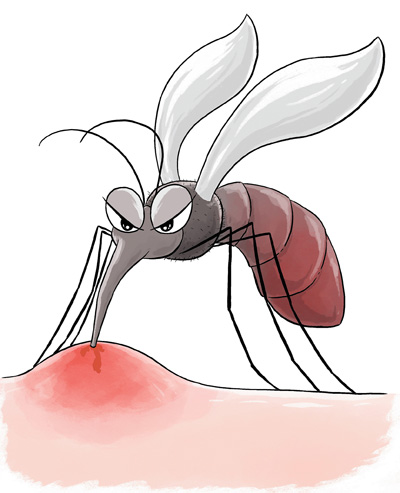 蜱虫、隐翅虫、蚊子……夏季常见蚊虫如何应对