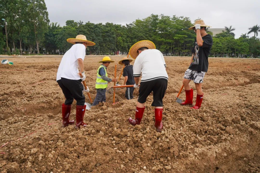 你怎么不看手机啊?“勿扰,在种地!” 你怎么不看手机啊?“勿扰,在种地!”