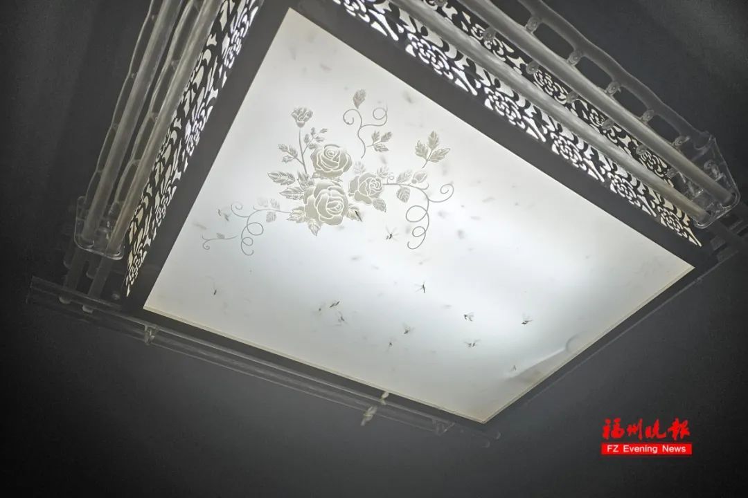 大雨！暴雨！即将抵达福建！又要大降温