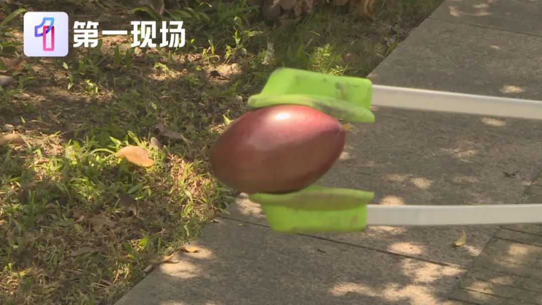 剧毒！别碰！别摘！别吃！