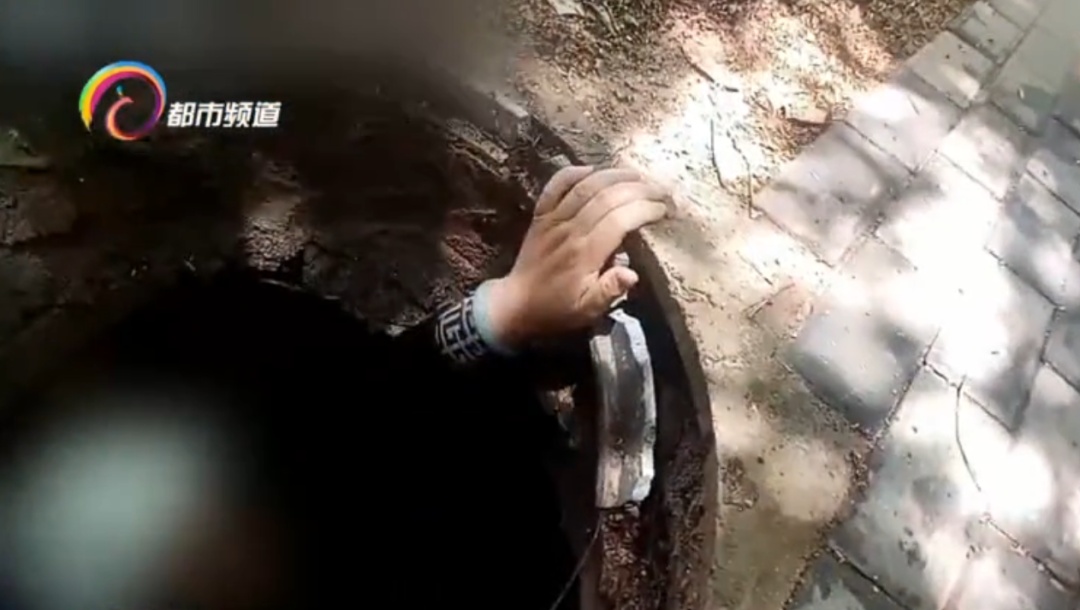 女子人行道上遛着狗,突然消失? 女子人行道上遛着狗,突然消失?