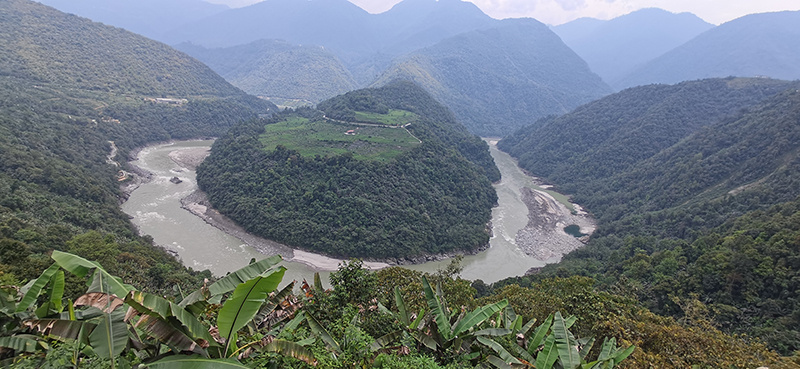 西藏发现毒蛾亚科2种新物种 西藏发现毒蛾亚科2种新物种