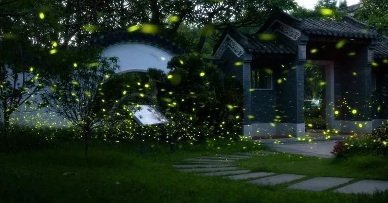 进入活跃期!广州“浪漫萤光秀”上线 进入活跃期!广州“浪漫萤光秀”上线