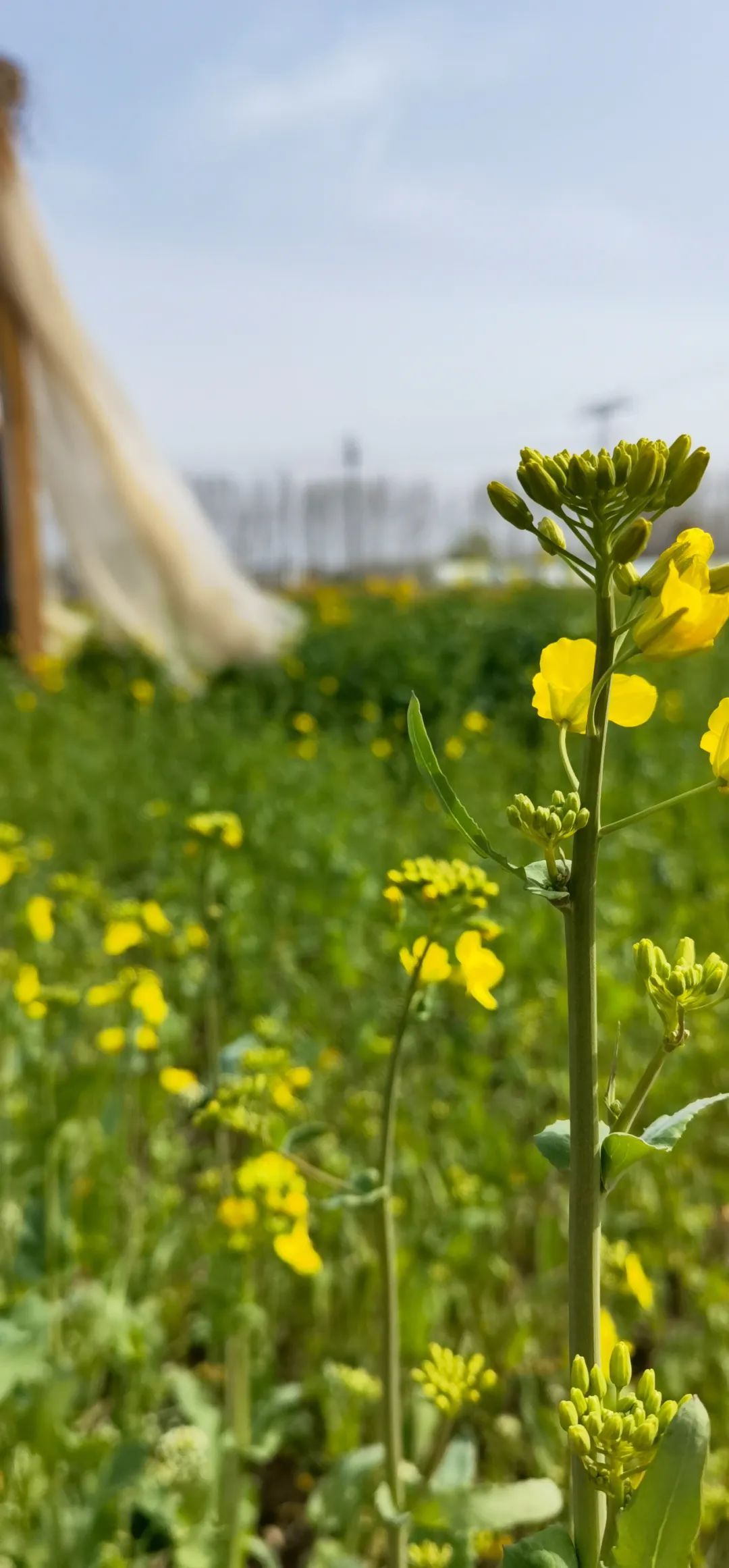 今日，小得盈满，爱逢其时