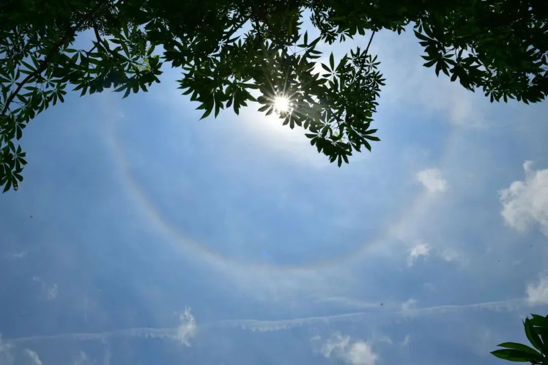 刷屏!广州上空出现日晕 刷屏!广州上空出现日晕