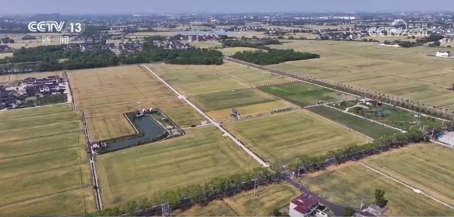“靠天吃饭”到“知天而作” 气象科技助力夏收夏种全面启动