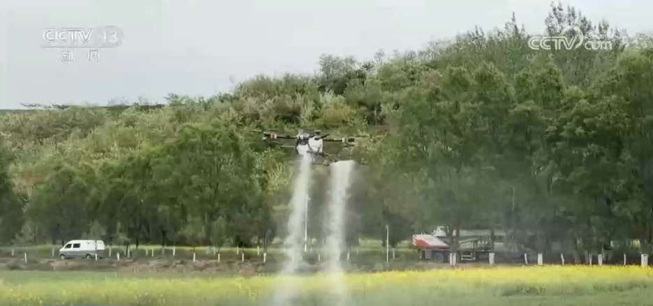 “靠天吃饭”到“知天而作” 气象科技助力夏收夏种全面启动