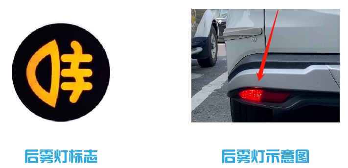 申城雷电黄色预警高挂！早上9号线雨天打滑限速运行！今夜雨止，何时入梅？