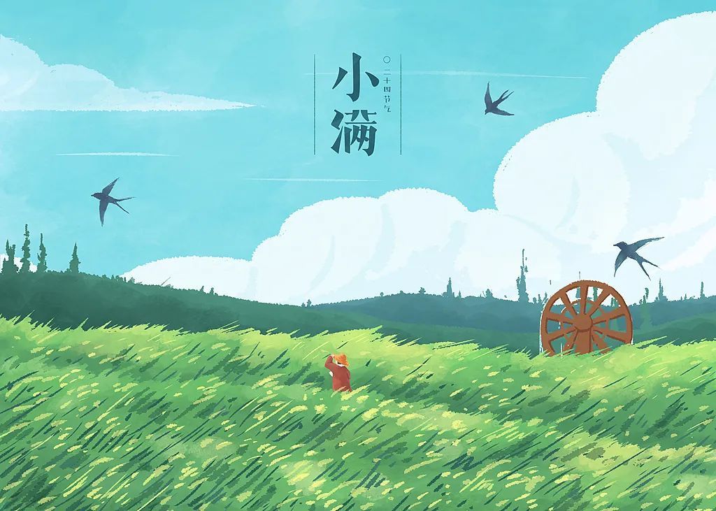 今日小满,要做这些事! 今日小满,要做这些事!