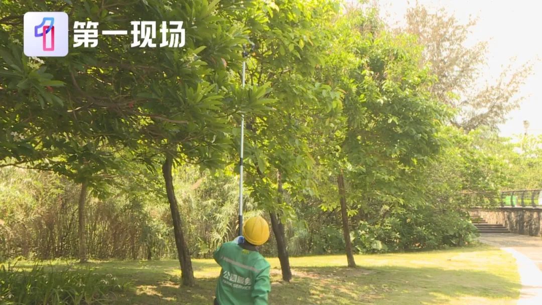 剧毒！别碰！别摘！别吃！