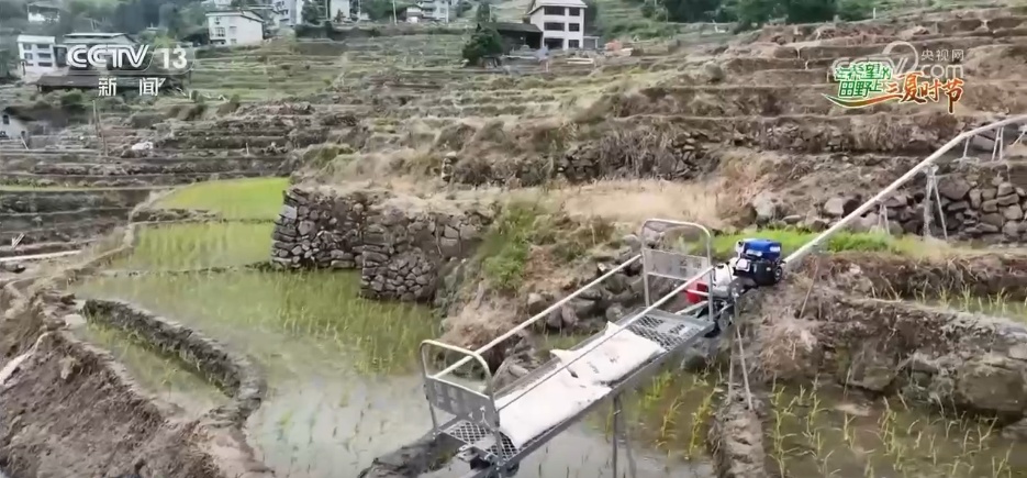 冬小麦从南到北陆续进入收获期 良种配良法绘就田野好“丰”景