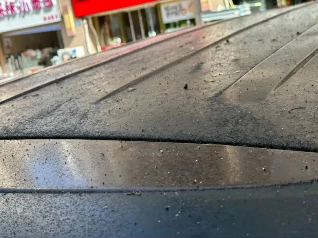 上海正大量出现！地上、车上、鞋上全都黏糊糊的…市民傻眼：根本擦不掉