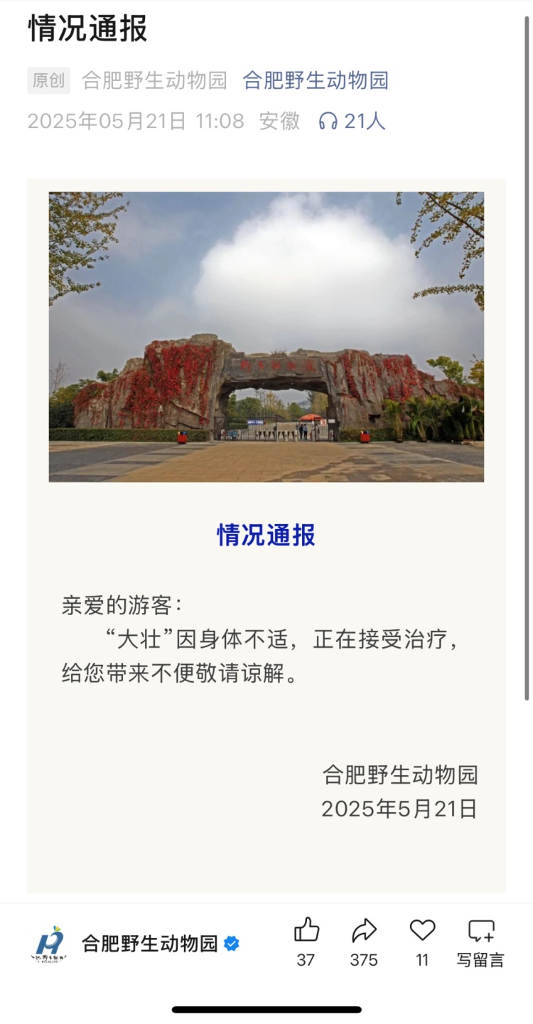 合肥野生动物园通报:“大壮”正接受治疗 合肥野生动物园通报:“大壮”正接受治疗