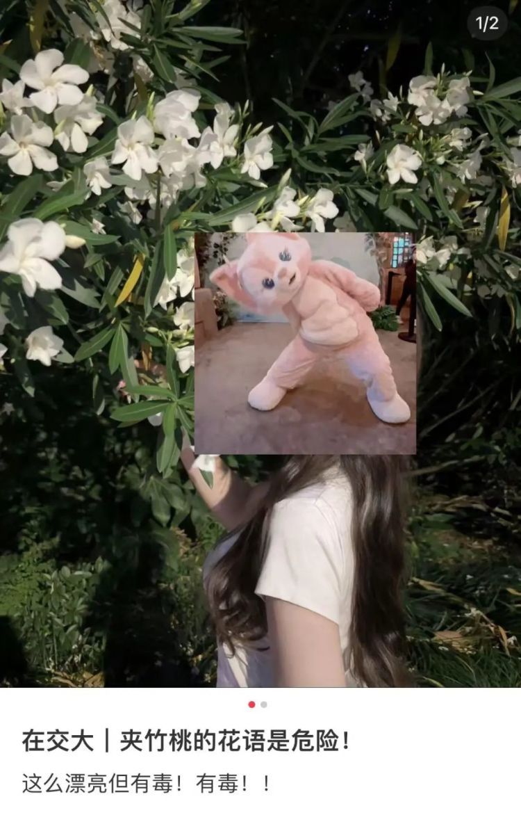 别碰!街头最近很常见……毒性很大,暗藏致命危险 别碰!街头最近很常见……毒性很大,暗藏致命危险