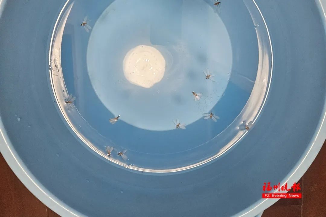 大雨！暴雨！即将抵达福建！又要大降温