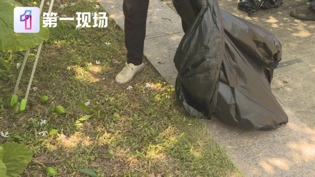 剧毒！别碰！别摘！别吃！