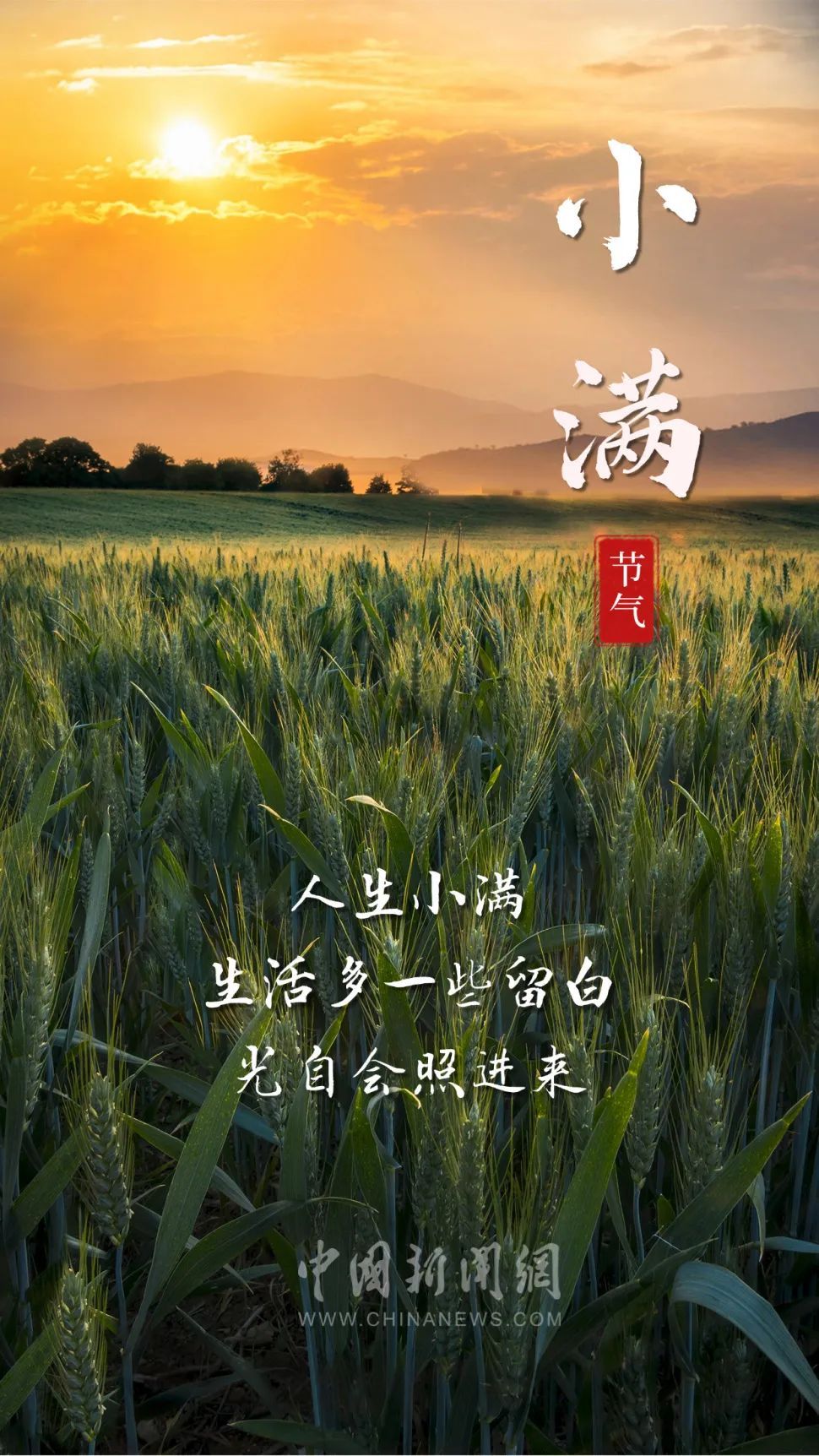 你的小满朋友圈文案，来了
