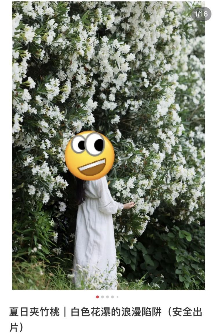 别碰!街头最近很常见……毒性很大,暗藏致命危险 别碰!街头最近很常见……毒性很大,暗藏致命危险