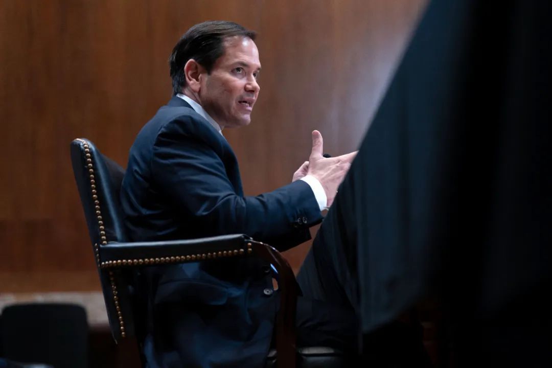 美国务卿:特朗普不参加G20 美国务卿:特朗普不参加G20