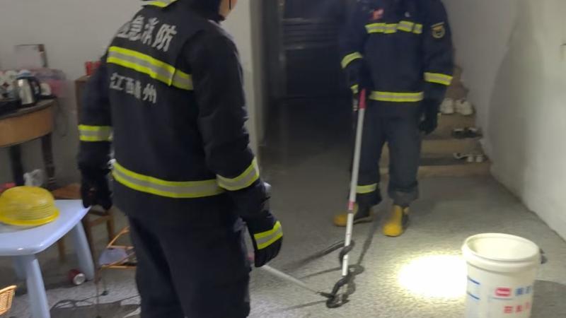 江西赣州：眼镜蛇闯入居民家中 消防紧急出动