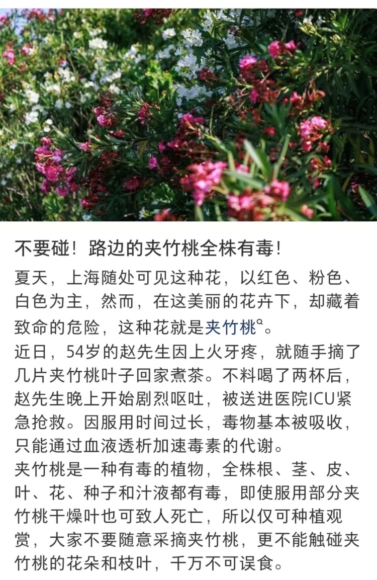 别碰!街头最近很常见……毒性很大,暗藏致命危险 别碰!街头最近很常见……毒性很大,暗藏致命危险