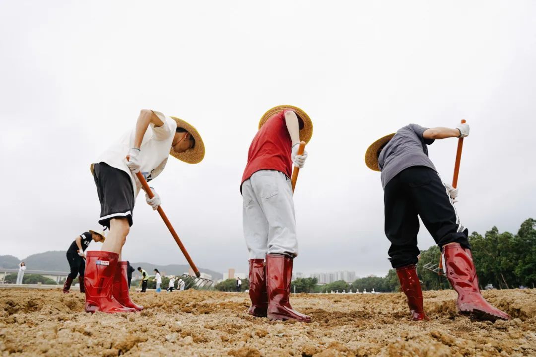 你怎么不看手机啊?“勿扰,在种地!” 你怎么不看手机啊?“勿扰,在种地!”