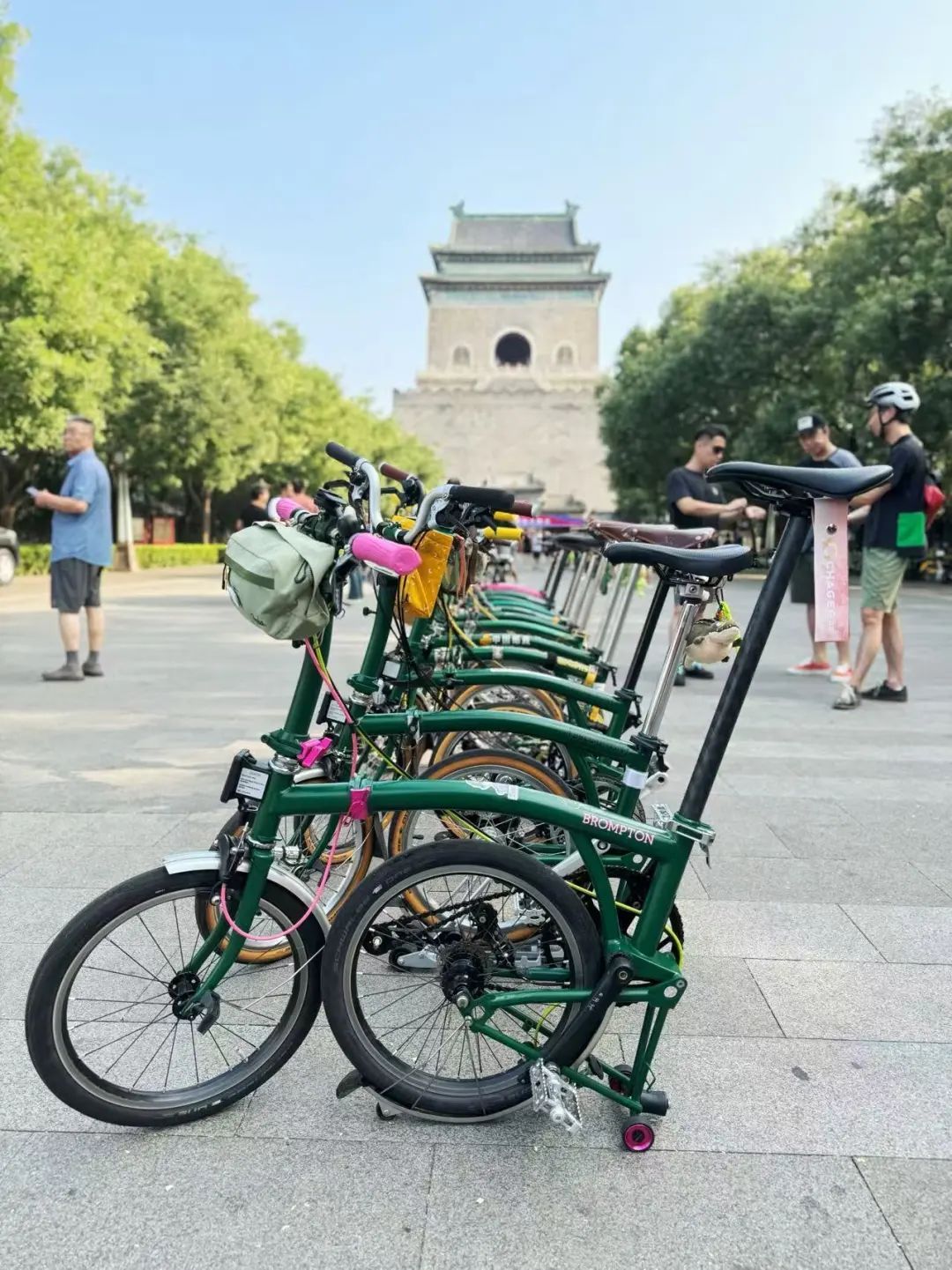 被中产炒热的自行车，价格崩了？