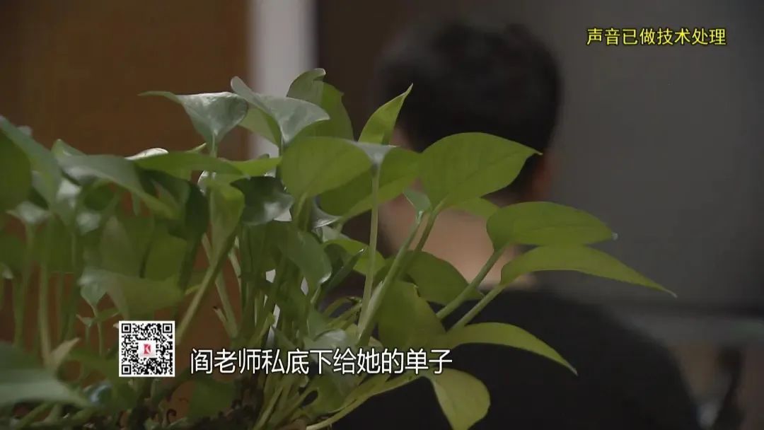 女司机冒充“副总裁”，伪造多重身份玩崩数亿资金链，儿子竟成最后受害者