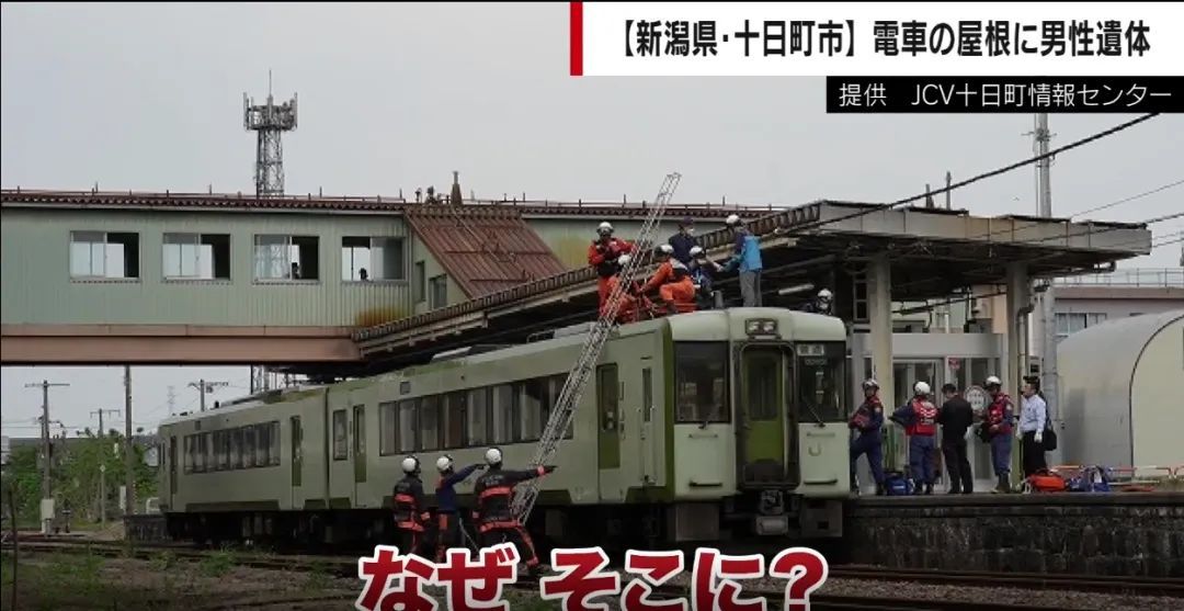 日本一火车车顶现男尸,面部朝下后脑勺流血,行驶一天后才被发现 日本一火车车顶现男尸,面部朝下后脑勺流血,行驶一天后才被发现