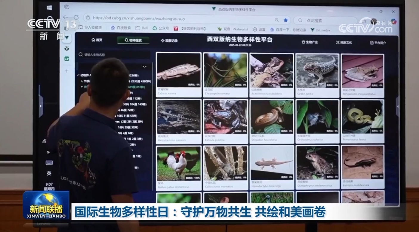 国际生物多样性日:守护万物共生 共绘和美画卷 国际生物多样性日:守护万物共生 共绘和美画卷
