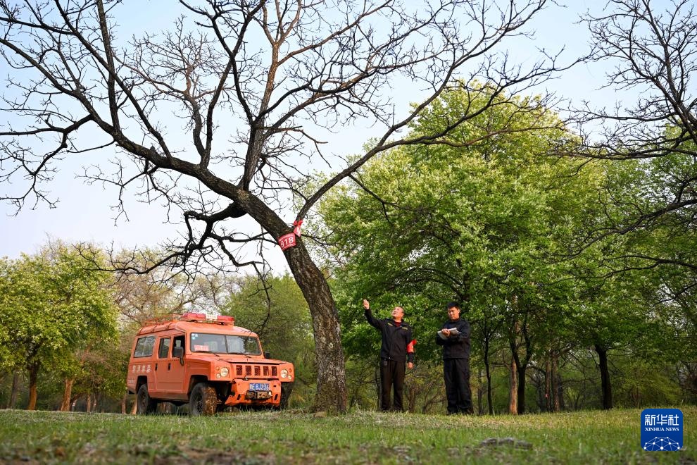 图片故事｜大兴安岭的生物多样性守护者