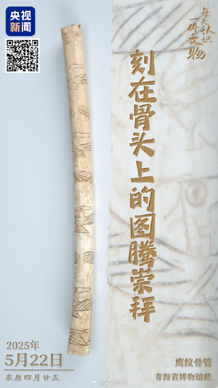 古人在1根兽骨上刻7只猛禽 古人在1根兽骨上刻7只猛禽