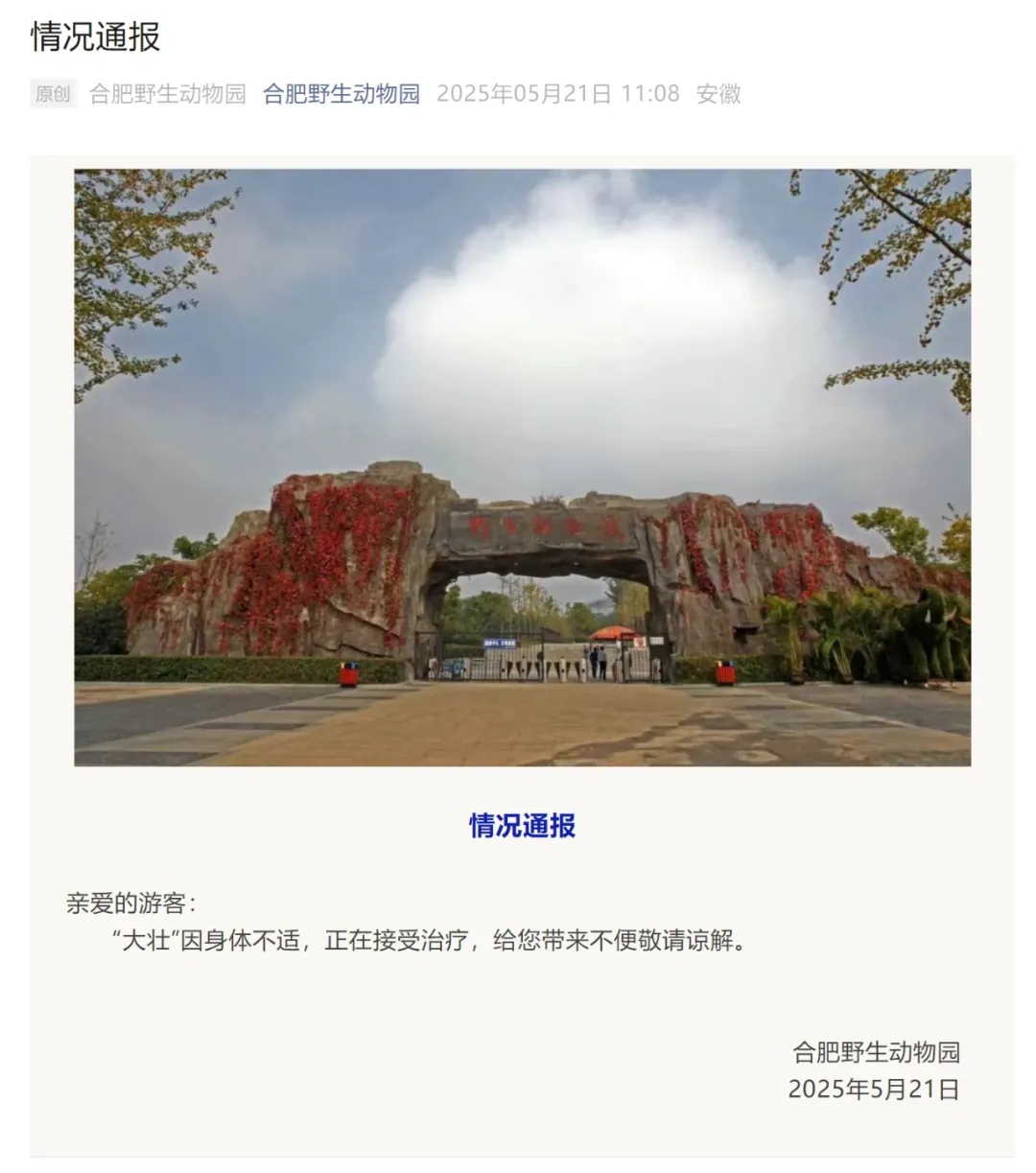 合肥野生动物园通报:国字脸猴子“大壮”去世 合肥野生动物园通报:国字脸猴子“大壮”去世