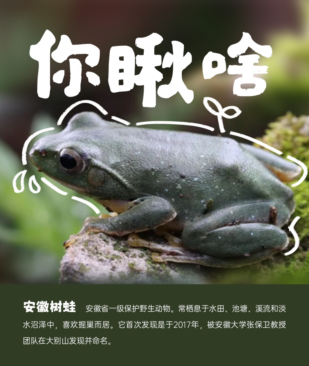 国际生物多样性日丨安徽野生动植物界“戏精”表情包来了