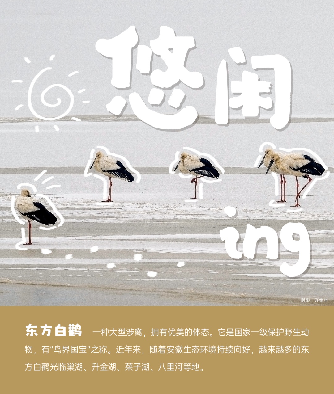 国际生物多样性日丨安徽野生动植物界“戏精”表情包来了