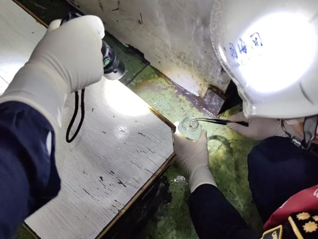 事发广东，螂来了，20000只……